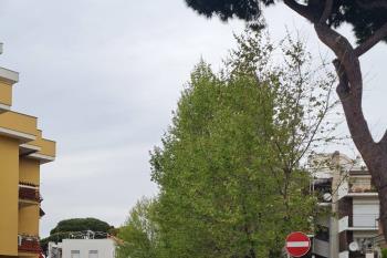 12 aprile 2026 -  Gara Triathlon